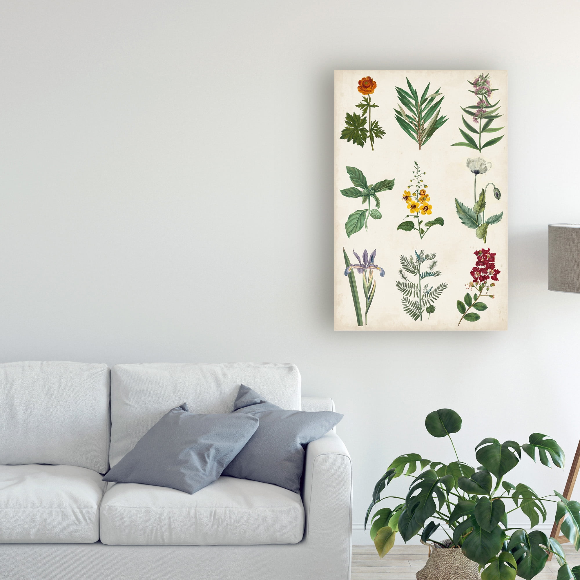 Trademark Fine Art 'Botanical Chart II' Canvas Art by Vision Studio
