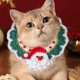thumbnail image 4 of Mom's Best Collar navideño de punto para gatos, ajustable y desmontable, para perros y gatos pequeños y medianos, cuello de 13 a 19 cm, 4 of 6
