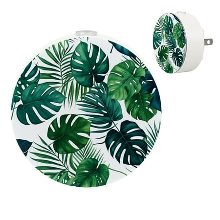 

Night Light Night Lights Plug into Wall 2-Pack Nightlight Plug in Night Light Dusk to Dawn Night Lamp Led Night Light for Adults Kids Room Tropical Leaves Watercolor