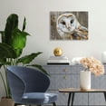 thumbnail image 2 of ONETECH Canvas Wall Art - Common Barn Owl - Modern Home Art Ready to Hang 20x16inch, 2 of 6