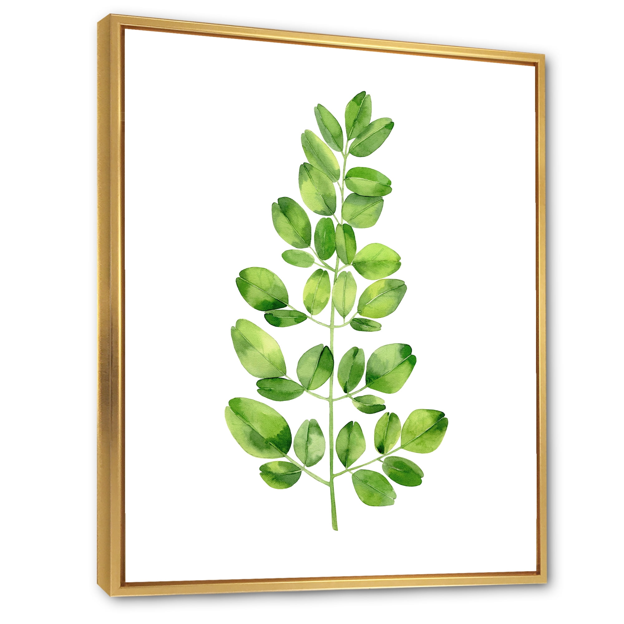 Designart 'Moringa Plant Branch Tropical Tree Foliage' Farmhouse Framed Canvas Wall Art Print