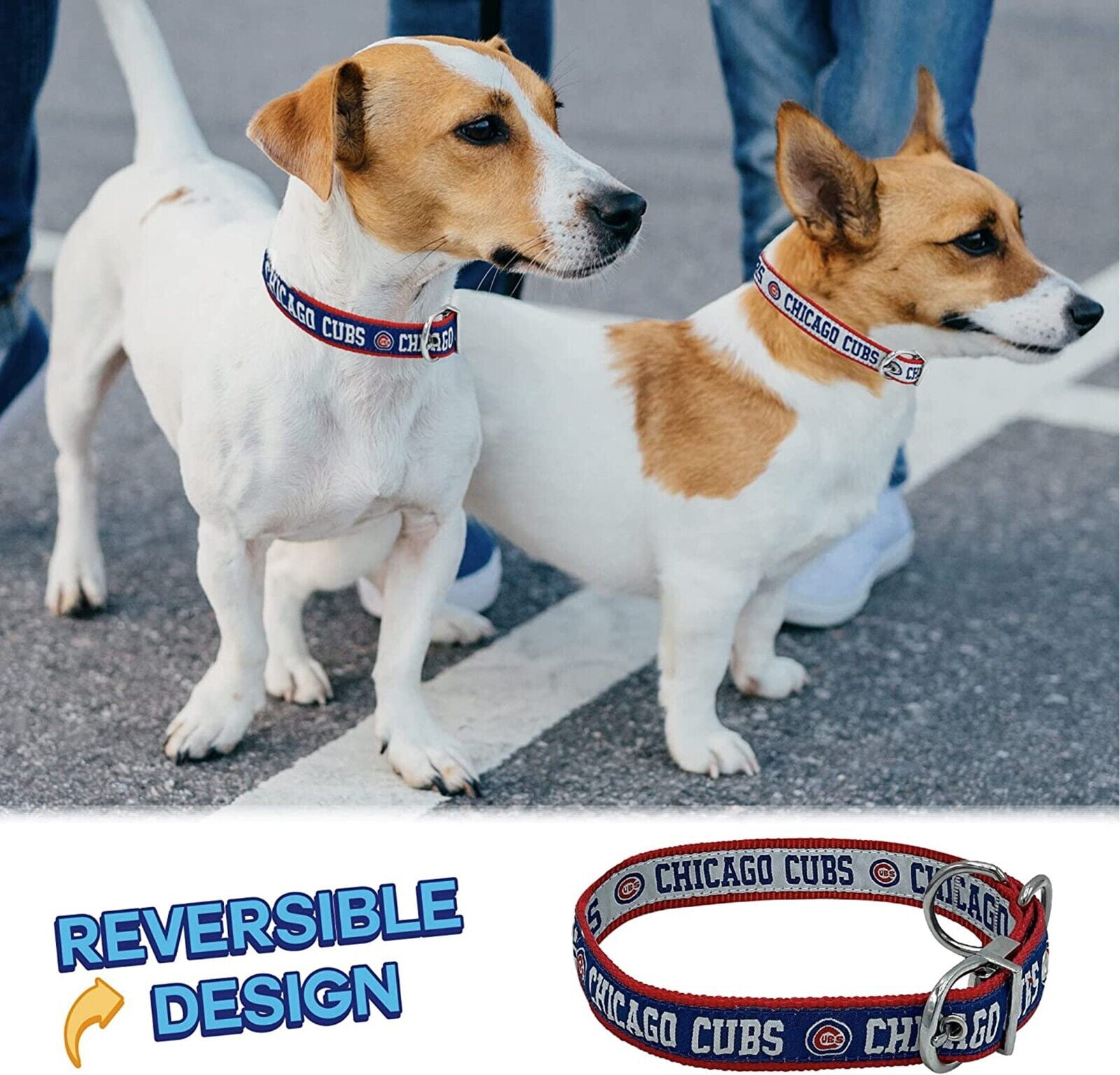 Chicago Cubs Reversible Collar