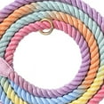 thumbnail image 4 of Dog Handcrafted Dog Leash Multifunctional Double Head Braiding Dog Training Leash with Gold Accessories for Running, 4 of 5