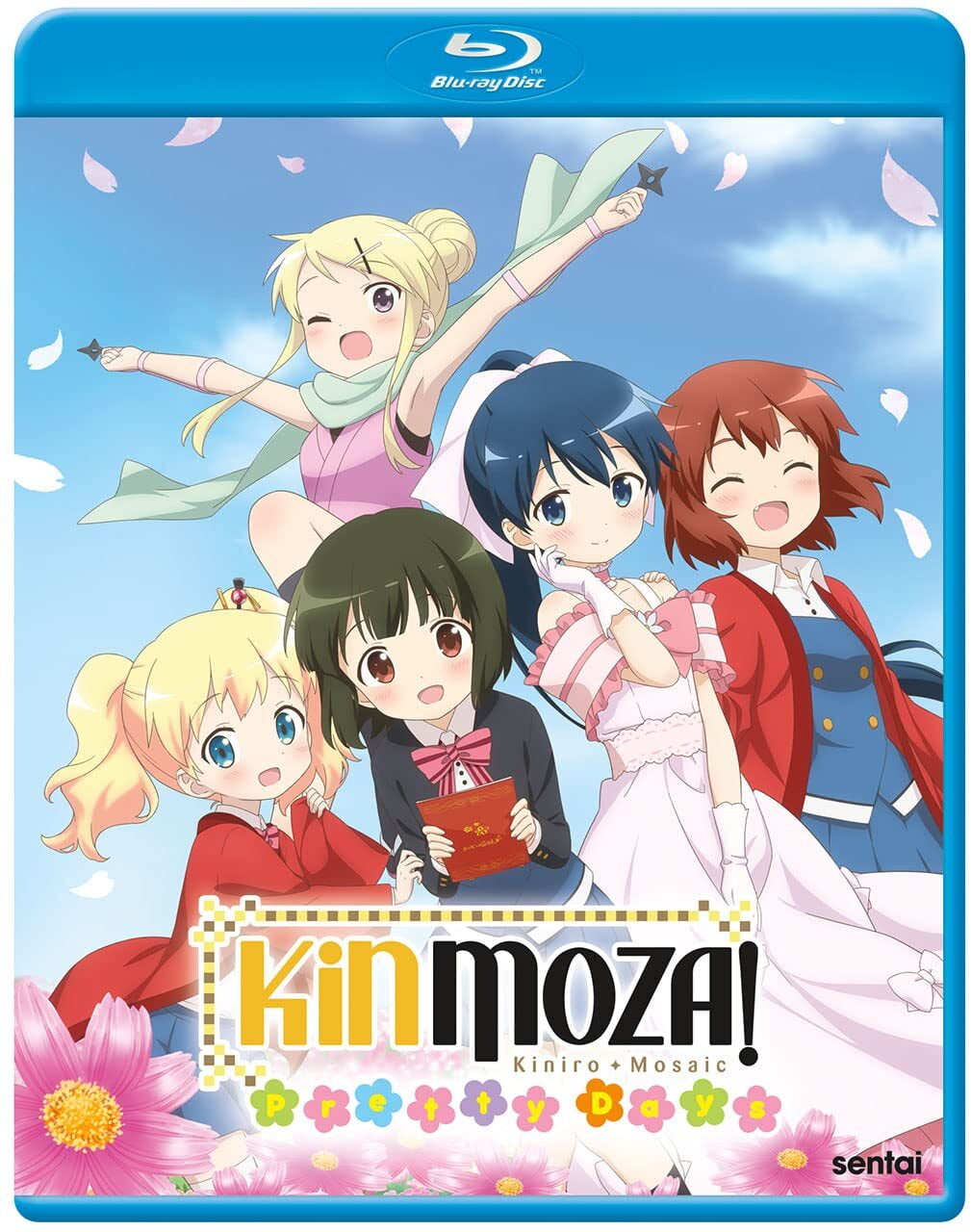 Gourmet Girl Graffiti (Blu-ray), Sentai, Anime - Walmart.com
