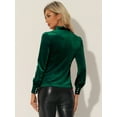 thumbnail image 3 of Blusa de trabajo informal Allegra K de terciopelo retro para mujer Verde Oscuro L, 3 of 6