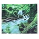 thumbnail image 1 of Lienzo de la naturaleza para la decoración del hogar, tapiz de pared con un arroyo en el bosque sereno de 200 x 150 cm, 1 of 8