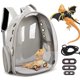 thumbnail image 1 of Mochila con forma de reptil Kathson, 18 x 42 x 32 cm, color gris, 1 of 7