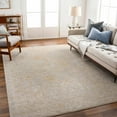 thumbnail image 5 of BoutiqueRugs Drika Traditional Area Rug - Taupe, Medium Gray, Tan - 10' x 13'11", 5 of 8