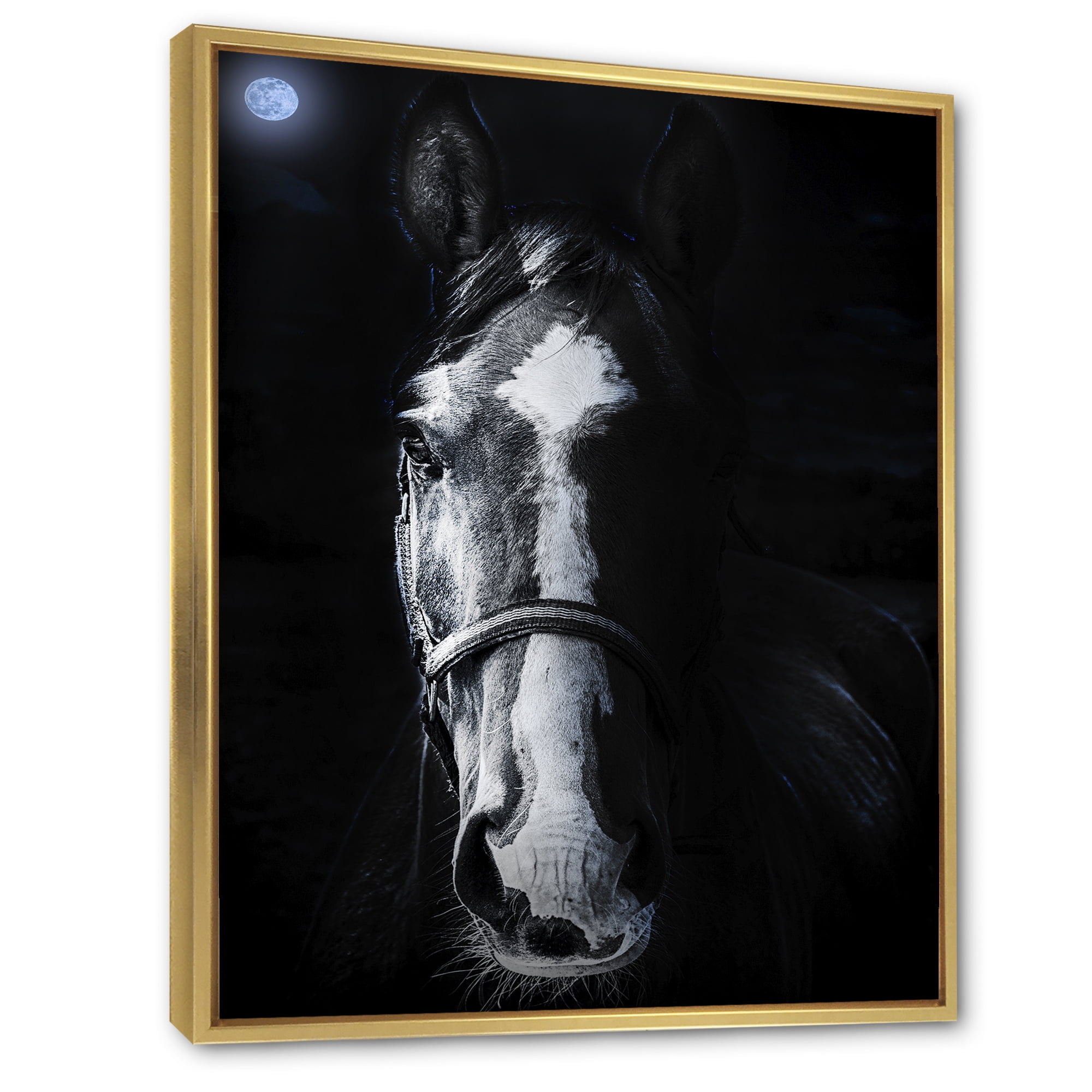 Designart 'Portrait of Horse Staring Sinister' Farmhouse Framed Canvas Wall Art Print