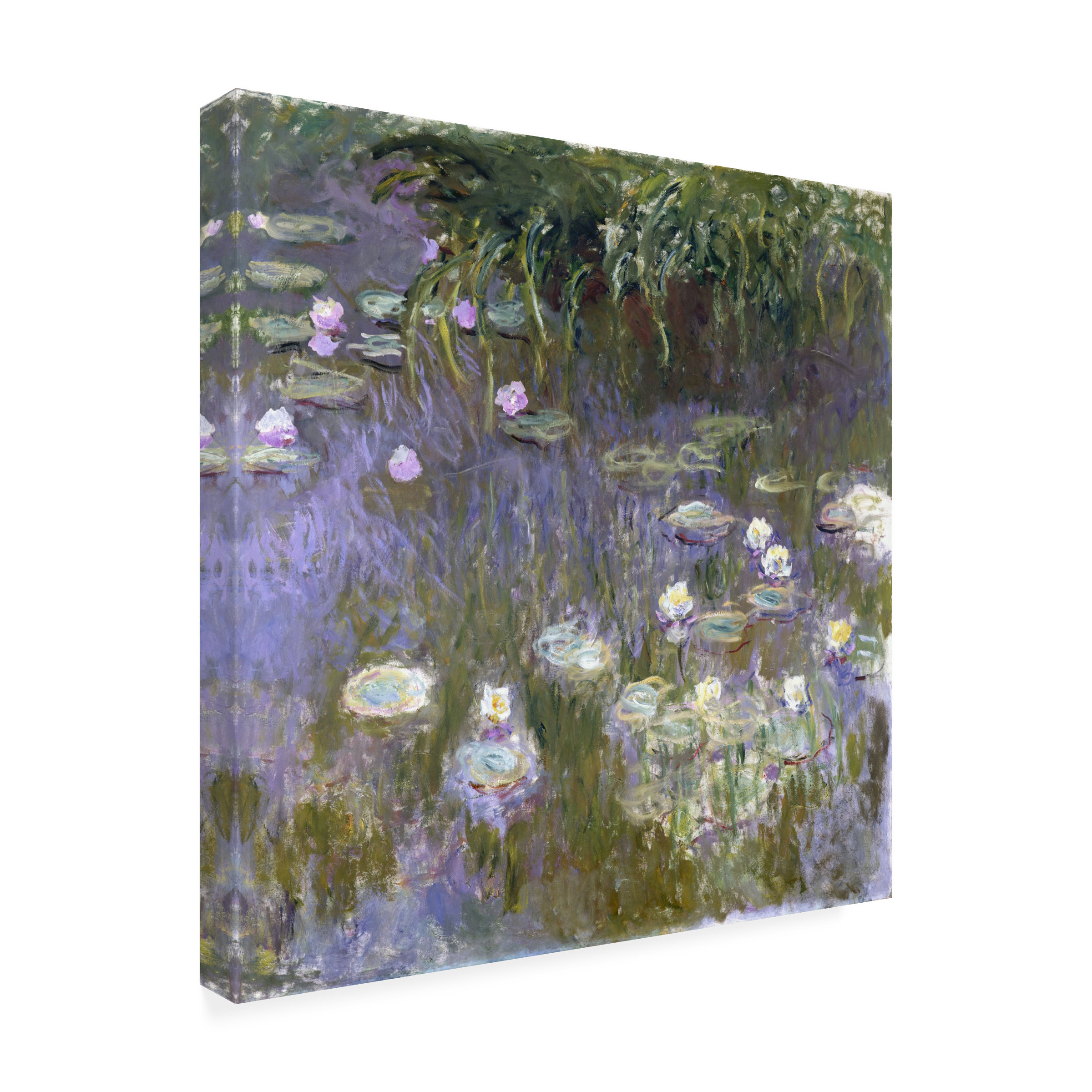 Monet 'Water Lilies' Canvas Art