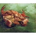 thumbnail image 3 of Van Gogh, Vincent 14x12 Black Modern Framed Museum Art Print Titled - Crab On His Back, 3 of 5