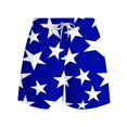 thumbnail image 3 of guisaled Mens Swim Suit Trunks American Flag Swimming Trunks for Men Quick Dry Elastic Waisted Swim Shorts Lightweight Vacation Holiday Board Shorts, 3 of 6