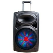 Ridgeway QS-1023B DJ Speaker, 10 in.