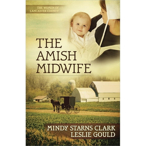 Pre-Owned The Amish Midwife: Volume 1 (Paperback) 0736937986 9780736937986