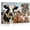 Frame-style, variant on Farmhouse Wall Art Rustic Cow Pig Chicken Sheep Live Like Gate Open Decor