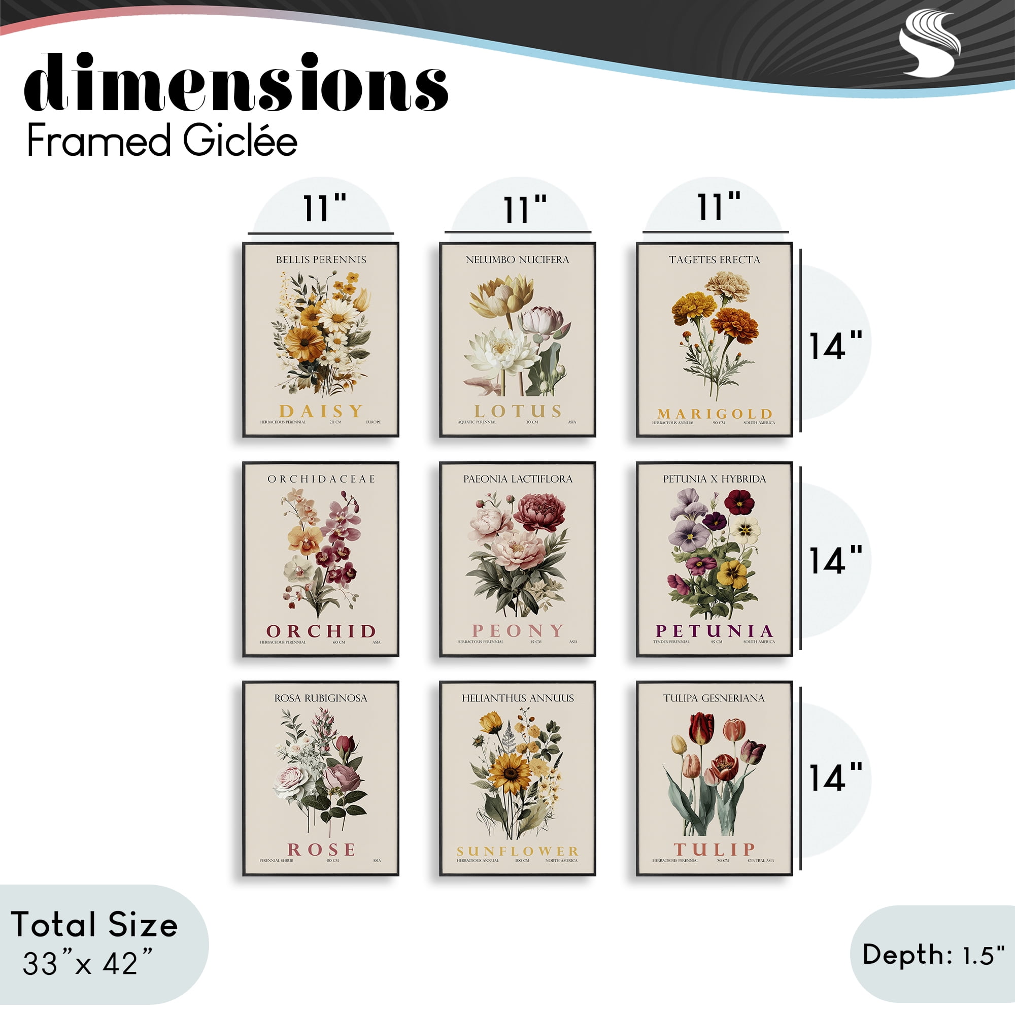 Stupell Industries Nature Botanicals Bundles 9 Piece Black Framed Giclee Art Set, design by Christopher Giampietro