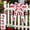 b, variant on Cififendec 4th of July Wired Ribbon, 118.11", Patriotic American Flag Red Truck Printed Fabric Ribbon for Wreaths, Bows, Gift Wrapping