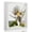 White Frame, variant on Shadow Box Frame Display Case with LED Light 8 x10", 2.76" Deep Shadow Box with Glass Shadow Boxes Display Cases for Photos, Dried Flowers, Handicrafts Picture Frames