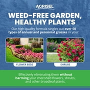 Agrisel GrassOut Max Selective Herbicide, 32 oz, 3-Pack of Gloves, Kills 50+ Grassy Weeds