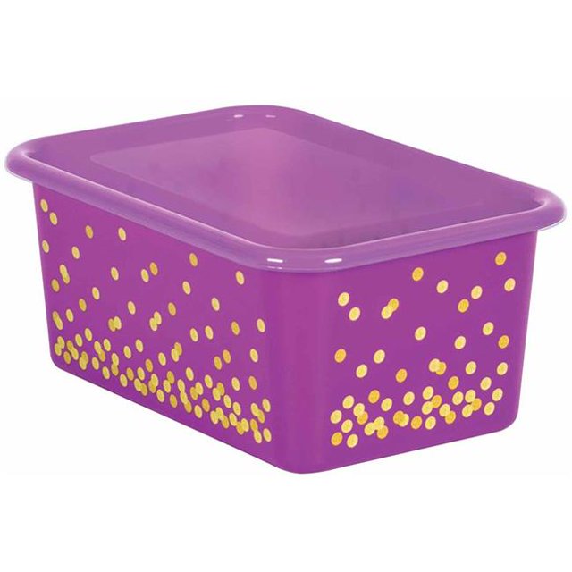 Teacher Created Resources TCR20342 Bac de Rangement en Plastique Transparent avec Couvercle, Petit