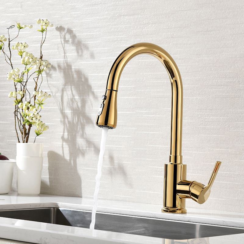Homary Single Hole Single Handle Kitchen Sink Faucet Pull Out