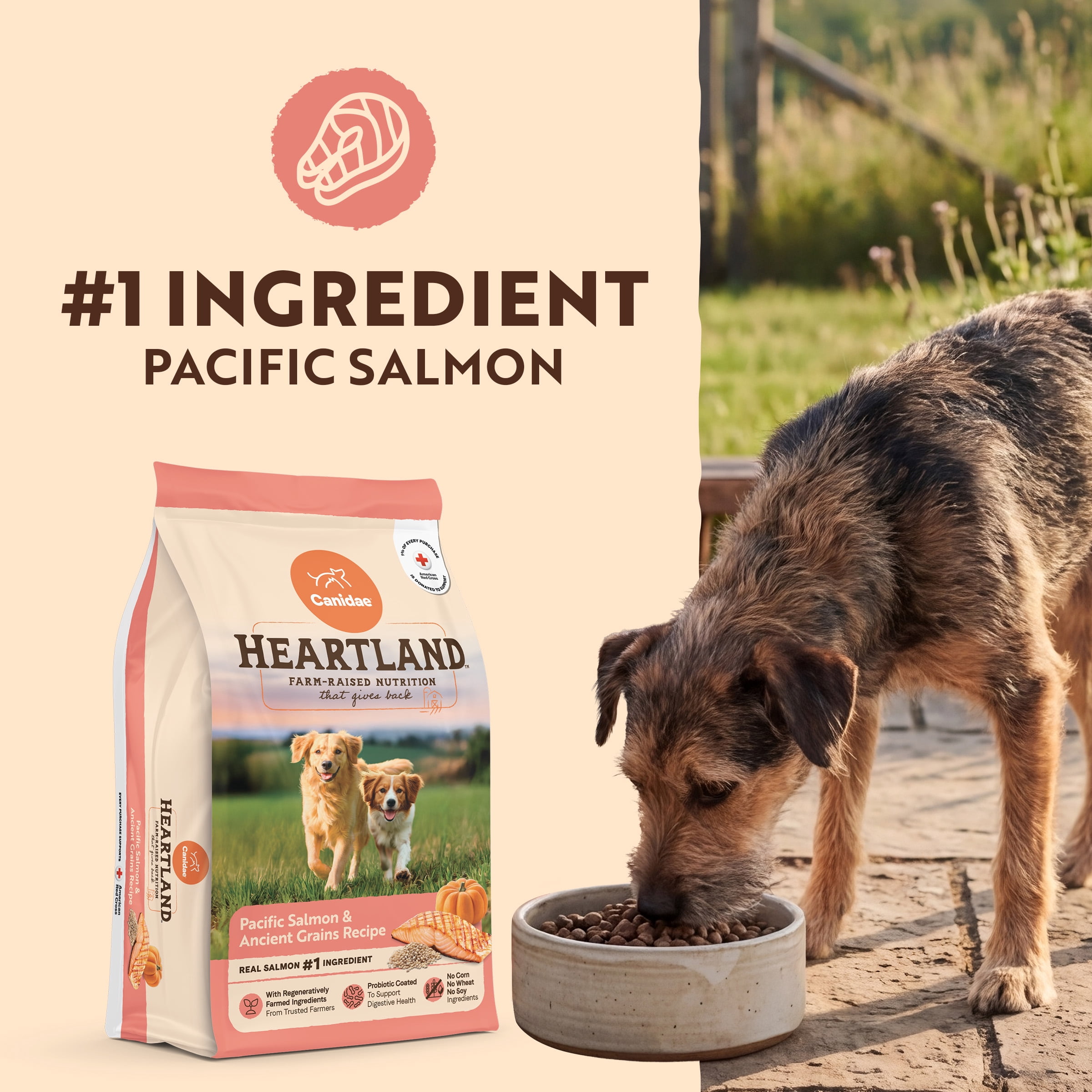 Canidae Heartland Pacific Salmon & Ancient Grains Dog Food, 22.5 lb. Bag