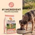 thumbnail image 3 of Canidae Heartland Pacific Salmon Adult Dog Food Ancient Grains, Dry Dog Food Skin & Coat, 10.5 lb Bag, 3 of 11
