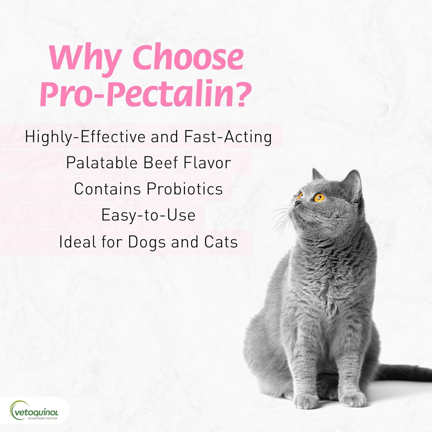 Vetoquinol Pro-Pectalin Chewable Tablets for Dogs & Cats with Kaolin and Pectin