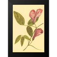 thumbnail image 2 of PI Collection 11x14 Black Modern Framed Museum Art Print Titled - Butterfly Pea, 2 of 5