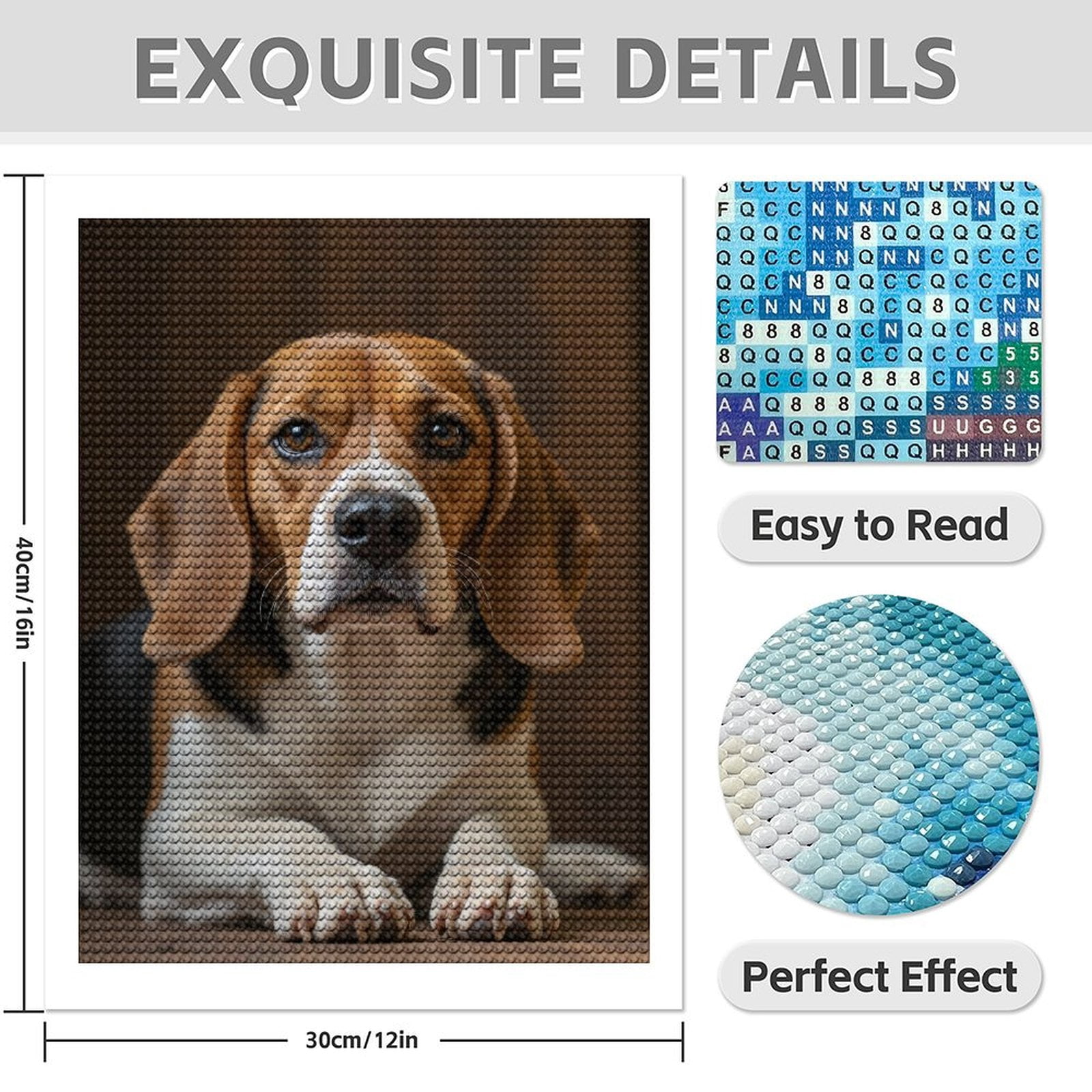 Diamond Art Kit for Adults, Brown White Dog Lying Indoors Diamond Painting for Adults Beginners, 5D DIY Diamond Art Painting Kits, Colorful Diamond Painting Craft for Home Decor 12x16