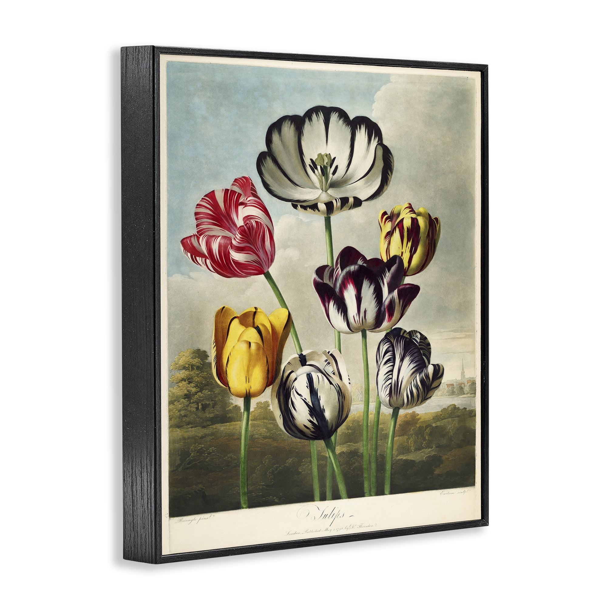 Stupell Industries Tulips From The Temple Black Framed Giclee Art, design by Print Collection