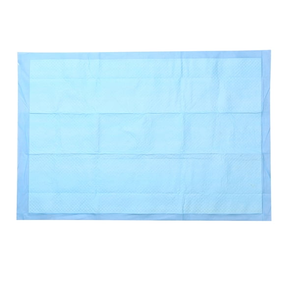 NICEXMAS 20Pcs Pet Training Pad Super Absorbent for Indoor Dog Cleaning