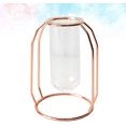 thumbnail image 1 of 1pc Hydroponic Glass Tube Green Planter Glass Vase Metal Plant Container Rack Flower Tube For Home Office (single Tube Trumpet), 1 of 3