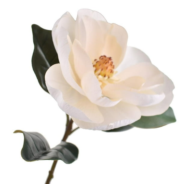 Artificial Flower Magnolia with Leaves, Cream, 31Inch