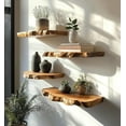 thumbnail image 1 of Live Edge Floating Wall Shelves, Teak Wood, Modern Rustic Decor (24" W X 8" D X 1.5" (Inches)), 1 of 8