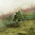thumbnail image 2 of Mabat, Ynon 15x15 White Modern Wood Framed Museum Art Print Titled - Lone Oak, 2 of 4