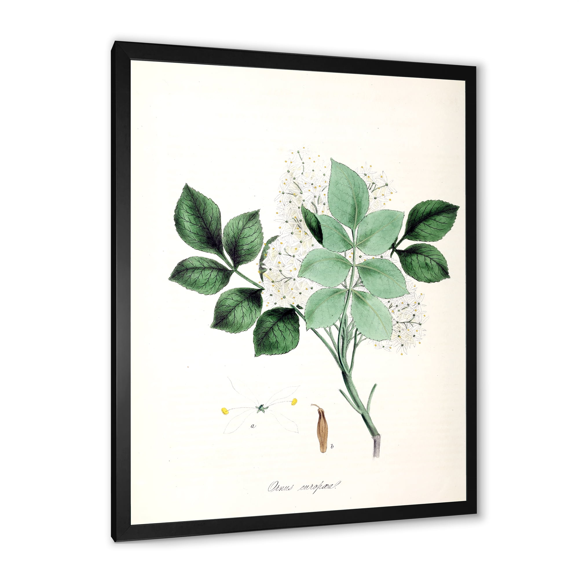 Designart 'Ancient Blossoming Flower IV' Farmhouse Framed Art Print