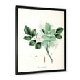 thumbnail image 2 of Designart 'Ancient Blossoming Flower IV' Farmhouse Framed Art Print, 2 of 4