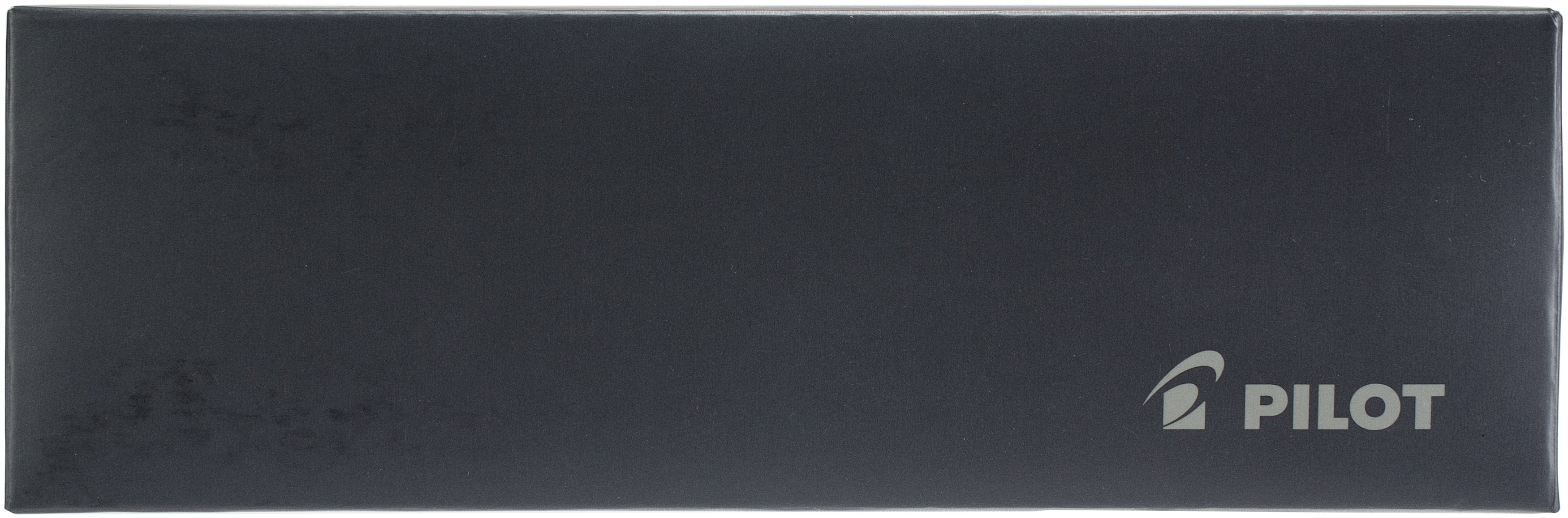 Pilot   Black Ink Fine Writing Fountain Pen