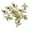 Citrine, variant on 12 Pieces Angel Wing Charms Pendants for Crafting Charms Beads , 26x21mm Clear