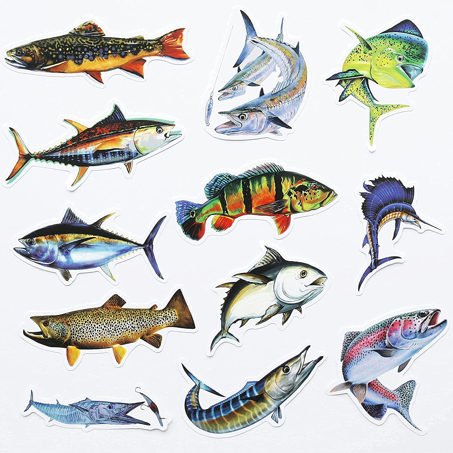 50Pcs Mega Pack Funny Fishing Rod Grouper Bass Trout Sailfish Stickers  Fishing for Trucks Window Boat Cars | Walmart Canada