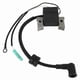 thumbnail image 5 of Ignition Coil Assy 6BX-85571-00 for Yamaha Boat Engine F4L F4S F6L F6S F6C 4-Stroke, Coil for Hidea, 5 of 5