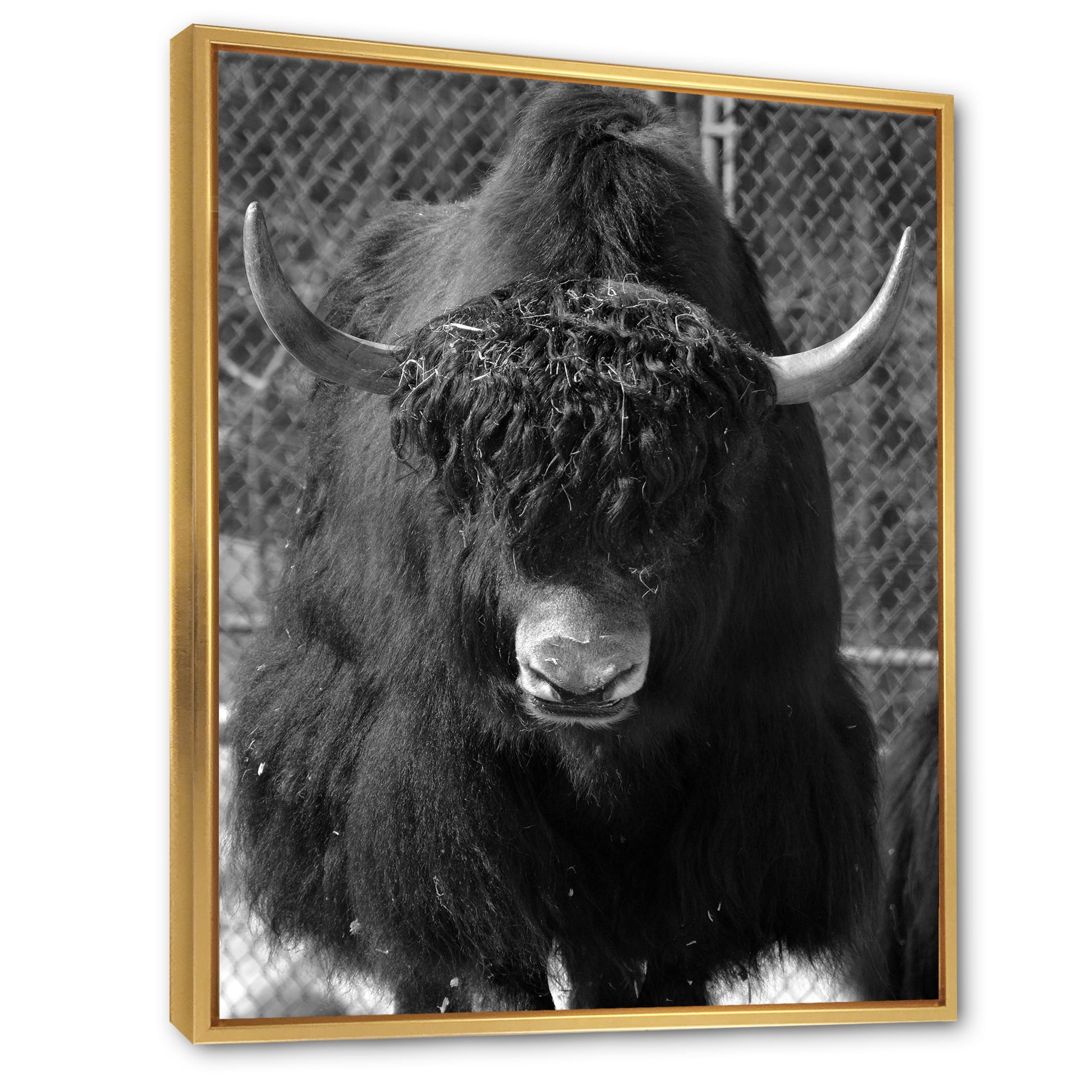 Designart 'Portrait Of Monochrome Wild Bull In Winter Forest II' Farmhouse Framed Canvas Wall Art Print