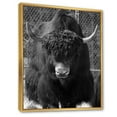 thumbnail image 3 of Portrait Of Monochrome Wild Bull In Winter Forest II 16 in x 32 in Framed Photography Canvas Art Print, by Designart, 3 of 5