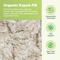 thumbnail image 2 of Kapok Bed Pillow Eco-Friendly Organic Cotton Fabric Luxurious Sleeping Pillows with Zipper, Made in USA - 14" X 20", 2 of 7