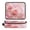 Pink Roses and Ribbons, variant on Hair Tool Organizer Bag with Heat Resistant Mat Removable Travel Storage Case for Hot Air Brushes Curling Irons Red Roses and Hearts Pattern