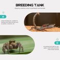 thumbnail image 1 of BESTYASH 1Ud Caja De Alimentación Para Reptiles En Acrílico Transparente Y Duradero, 1 of 6