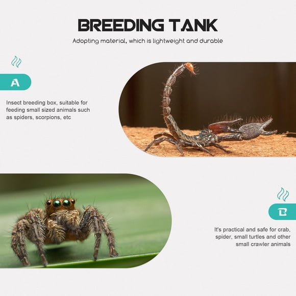 BESTYASH 1Ud Caja De Alimentación Para Reptiles En Acrílico Transparente Y Duradero