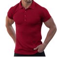 thumbnail image 1 of Gibobby Camisas Tipo Polo para Hombre Polo de algodón para hombre, ajuste regular(Rojo,XG), 1 of 4