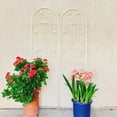 thumbnail image 5 of 2 Pack Metal Garden Trellis 71" x 19.7" Rustproof Trellis for Climbing Plants Outdoor Flower Support Cream White, 5 of 10